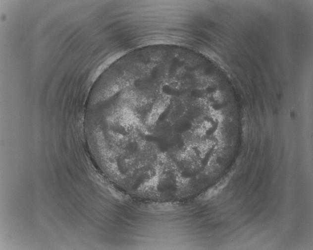 X0000061731121200512231428