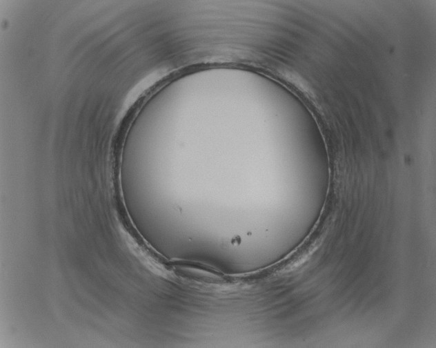 X0000061731122200512231428