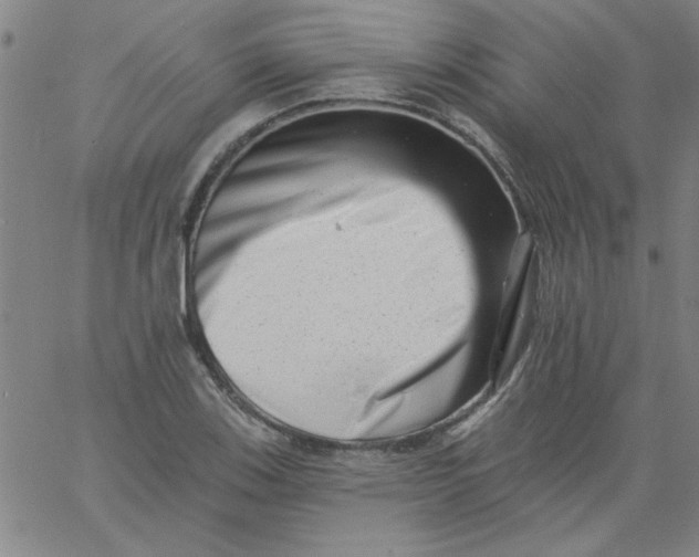 X0000061731123200512231428