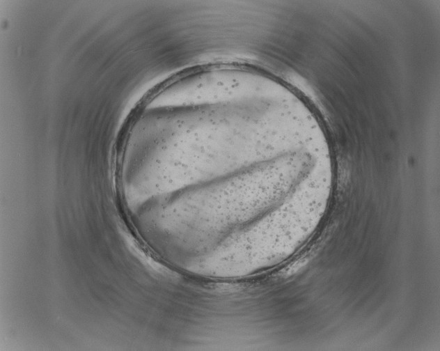 X0000061731124200512231428