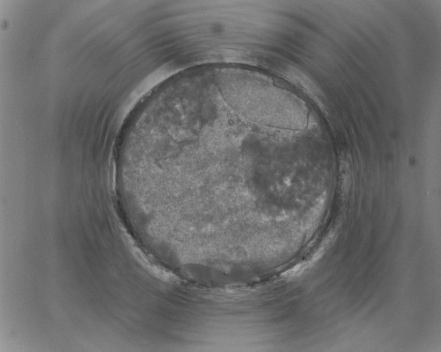 X0000061731125200512231428