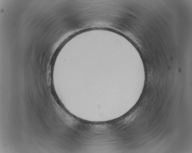 X0000061731126200512231428