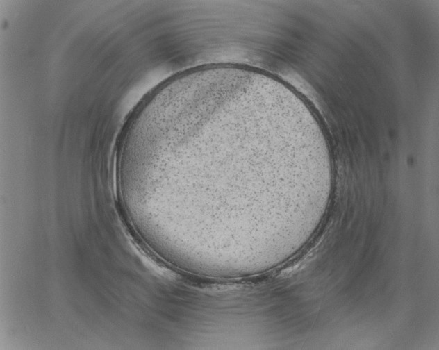 X0000061731127200512231428