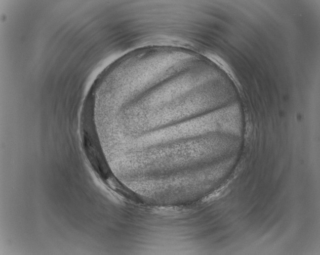 X0000061731128200512231428