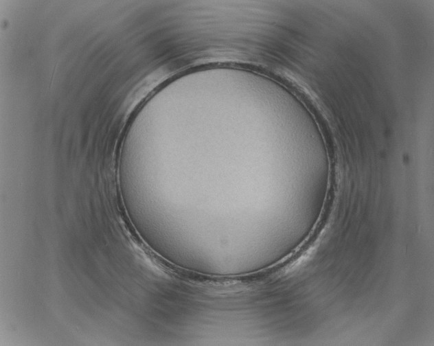 X0000061731129200512231428