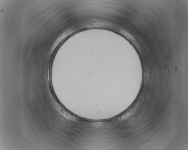 X0000061731130200512231428