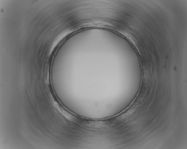 X0000061731131200512231428