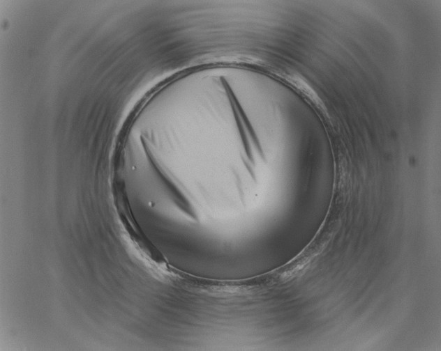 X0000061731132200512231428