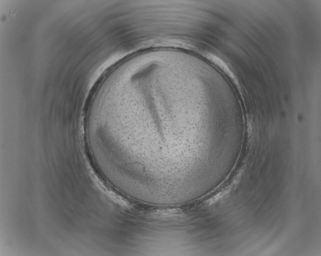 X0000061731133200512231428