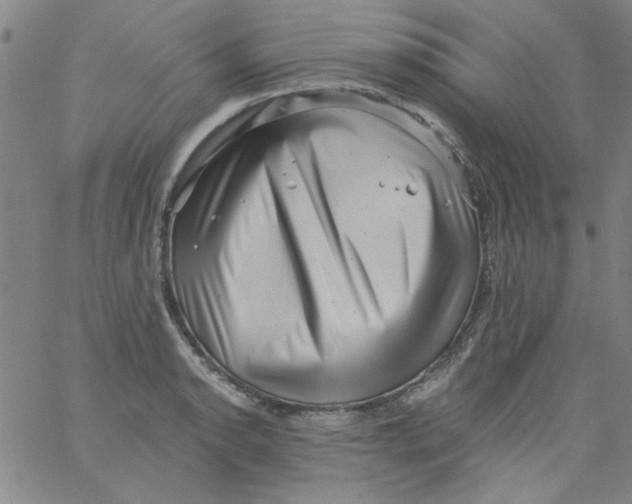 X0000061731134200512231428