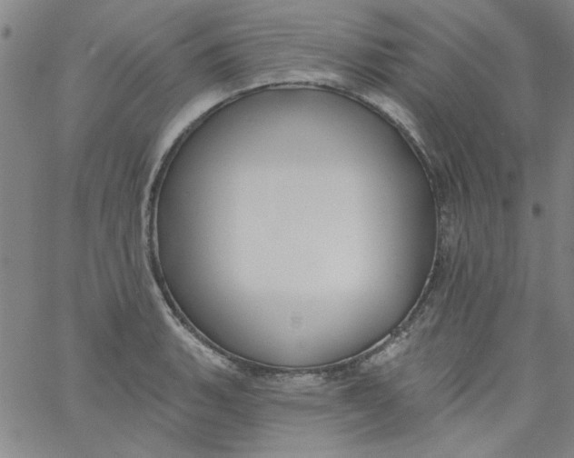 X0000061731135200512231428