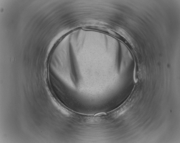 X0000061731136200512231428