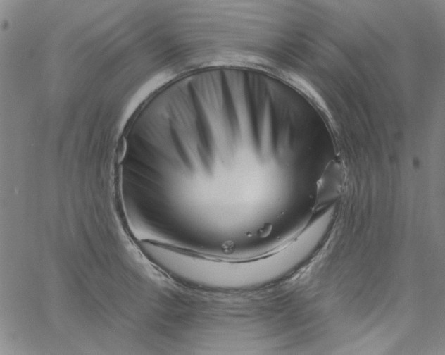 X0000061731138200512231428