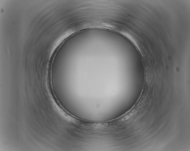 X0000061731139200512231428