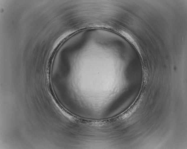 X0000061731141200512231428