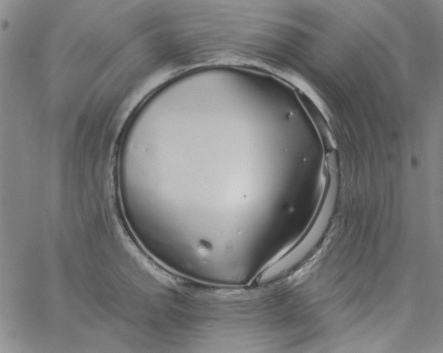 X0000061731142200512231428