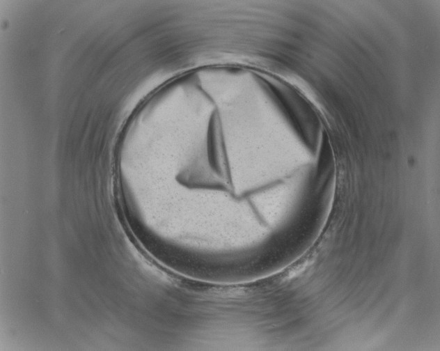 X0000061731143200512231428