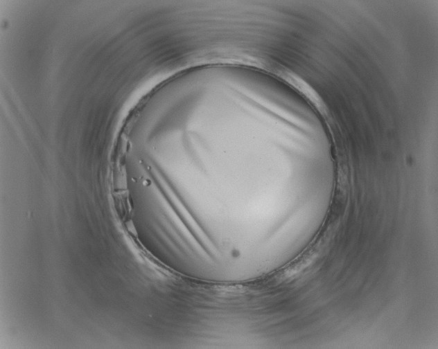 X0000061731144200512231428