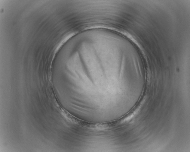 X0000061731145200512231428