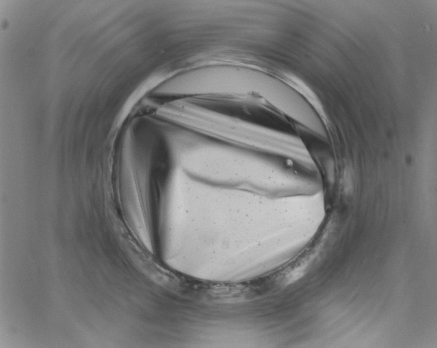 X0000061731146200512231428