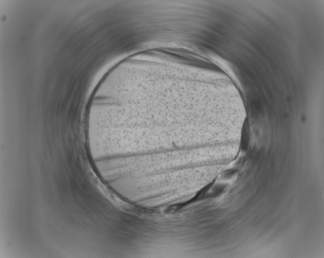 X0000061731148200512231428