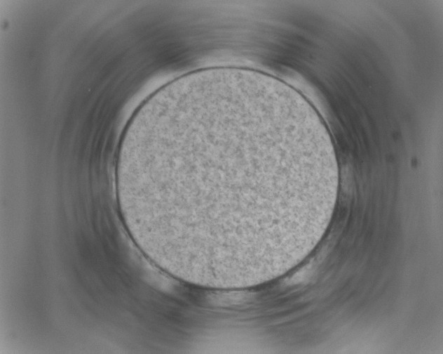 X0000061731150200512231428