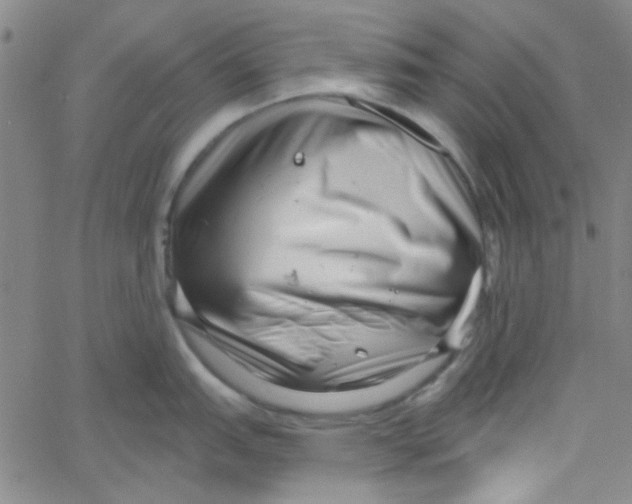 X0000061731151200512231428