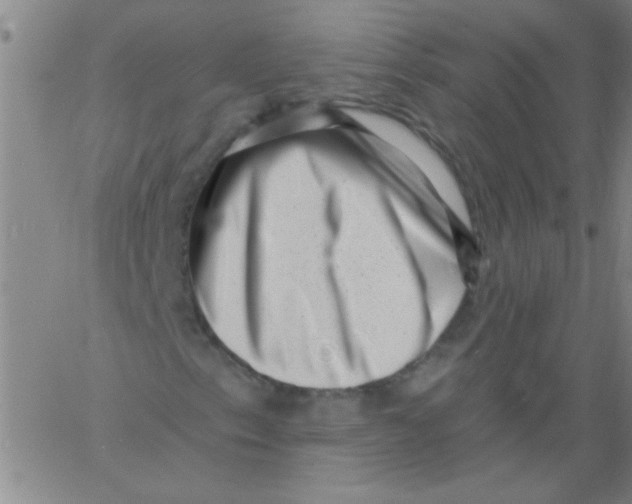 X0000061731153200512231427