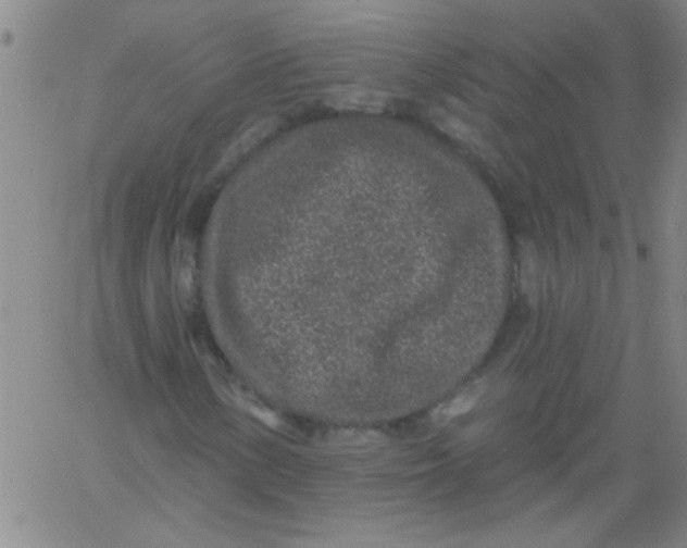 X0000061731154200512231427