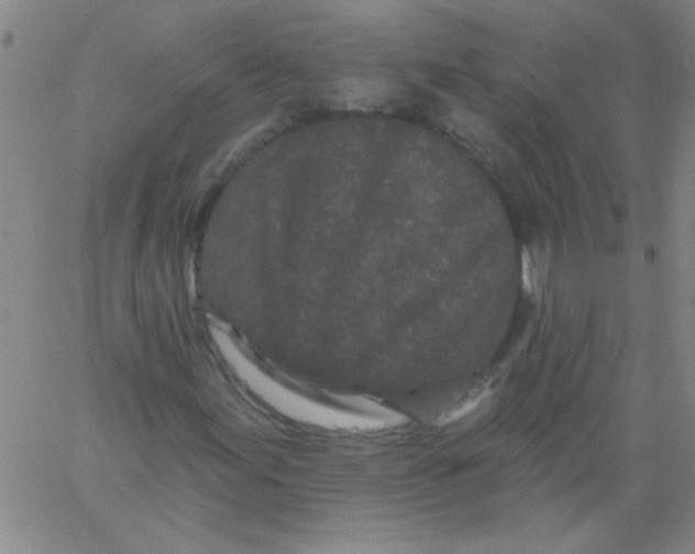 X0000061731155200512231427