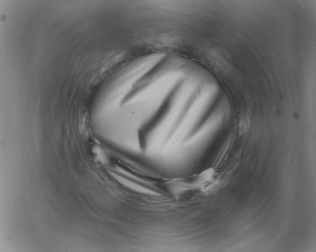 X0000061731156200512231427