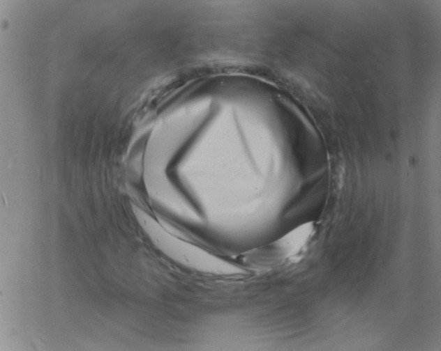 X0000061731157200512231427