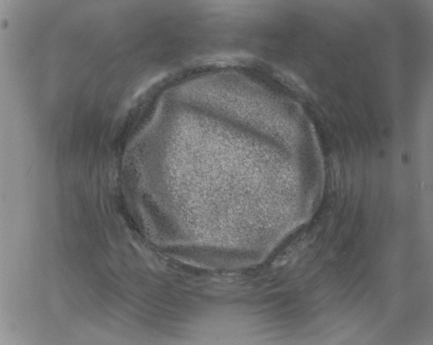 X0000061731158200512231427