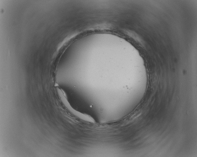 X0000061731160200512231427