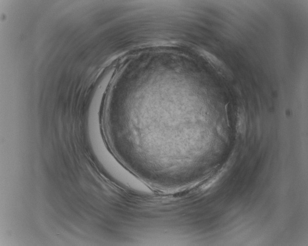 X0000061731161200512231427