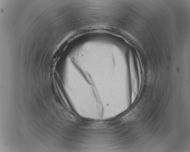 X0000061731162200512231427