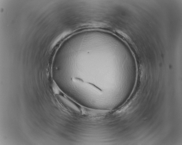 X0000061731163200512231427