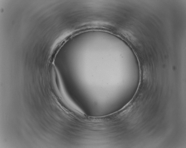 X0000061731164200512231427