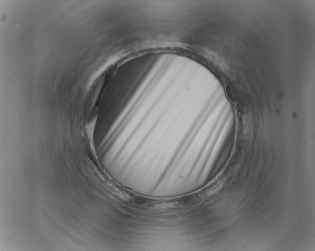 X0000061731165200512231427