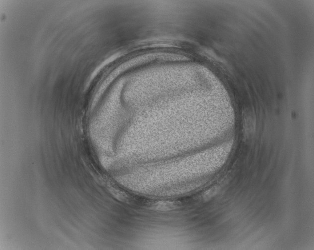 X0000061731166200512231427