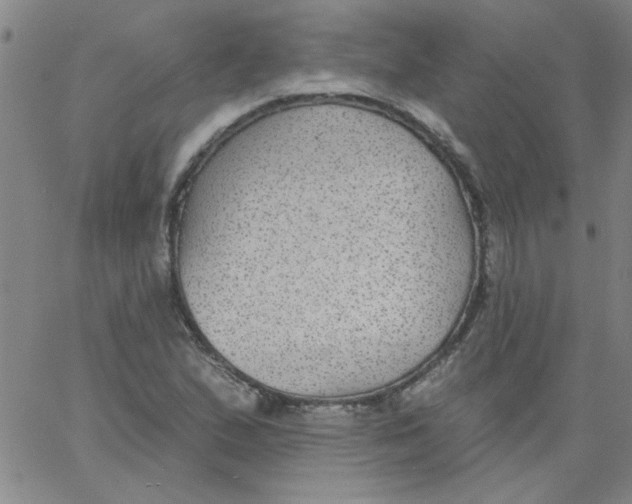 X0000061731167200512231427