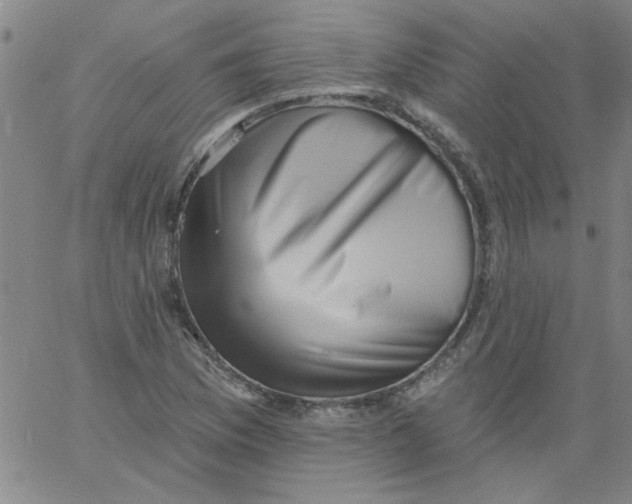 X0000061731169200512231427