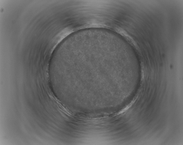 X0000061731170200512231427