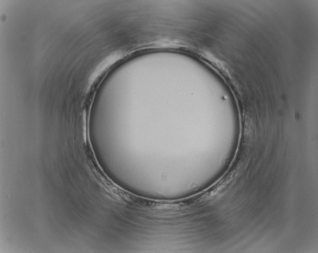 X0000061731171200512231427