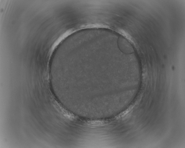 X0000061731173200512231427