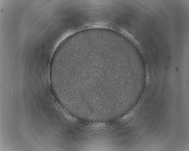 X0000061731174200512231427