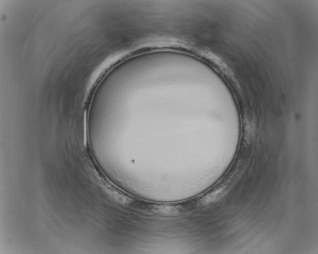 X0000061731175200512231427