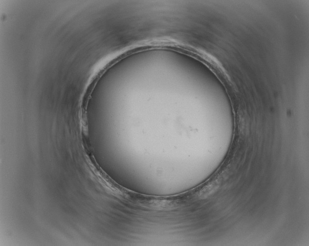 X0000061731176200512231427