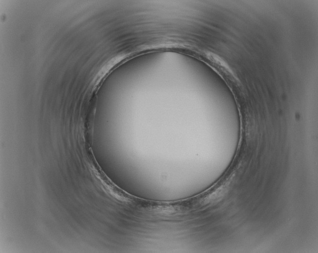 X0000061731177200512231427