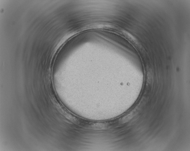 X0000061731178200512231427